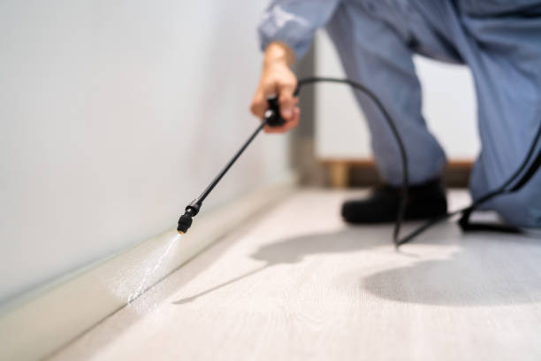 Licensed Pest Control service in Forsyth, MT - Show Me Pest Control