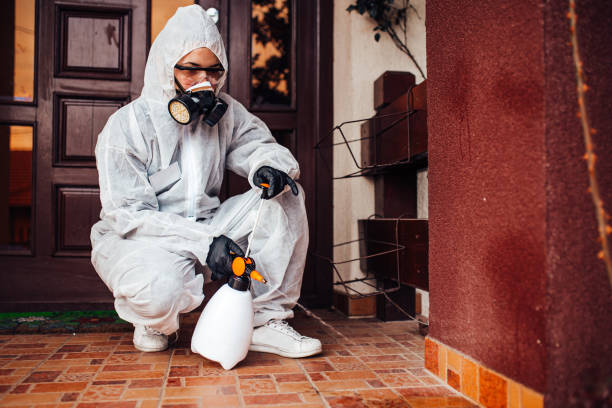 Attic and Crawl Space Rodent Treatment in Forsyth